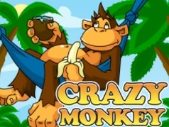 Crazy Monkey